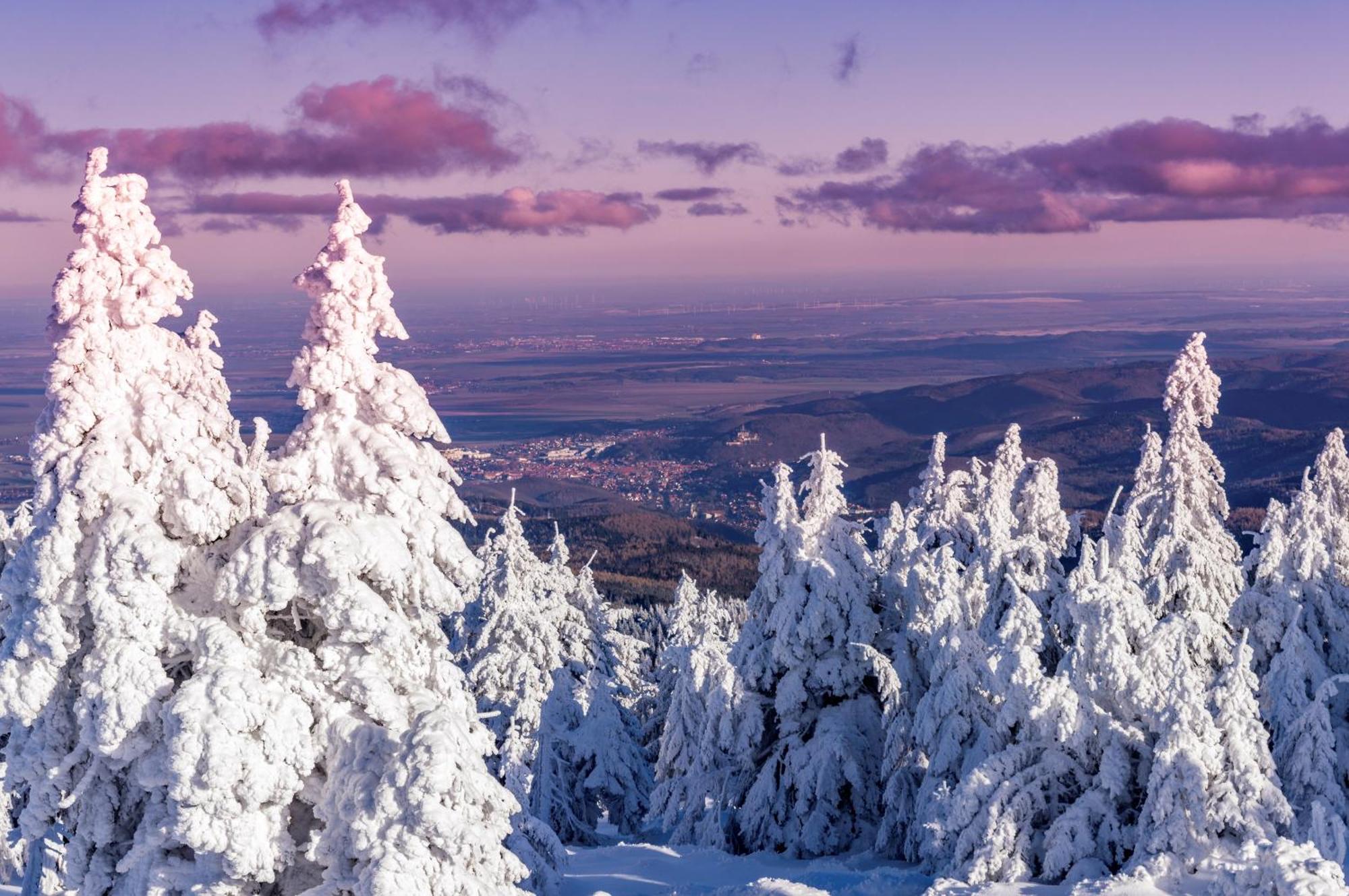 Atelier Wolkenschloss Wernigerode Bagian luar foto
