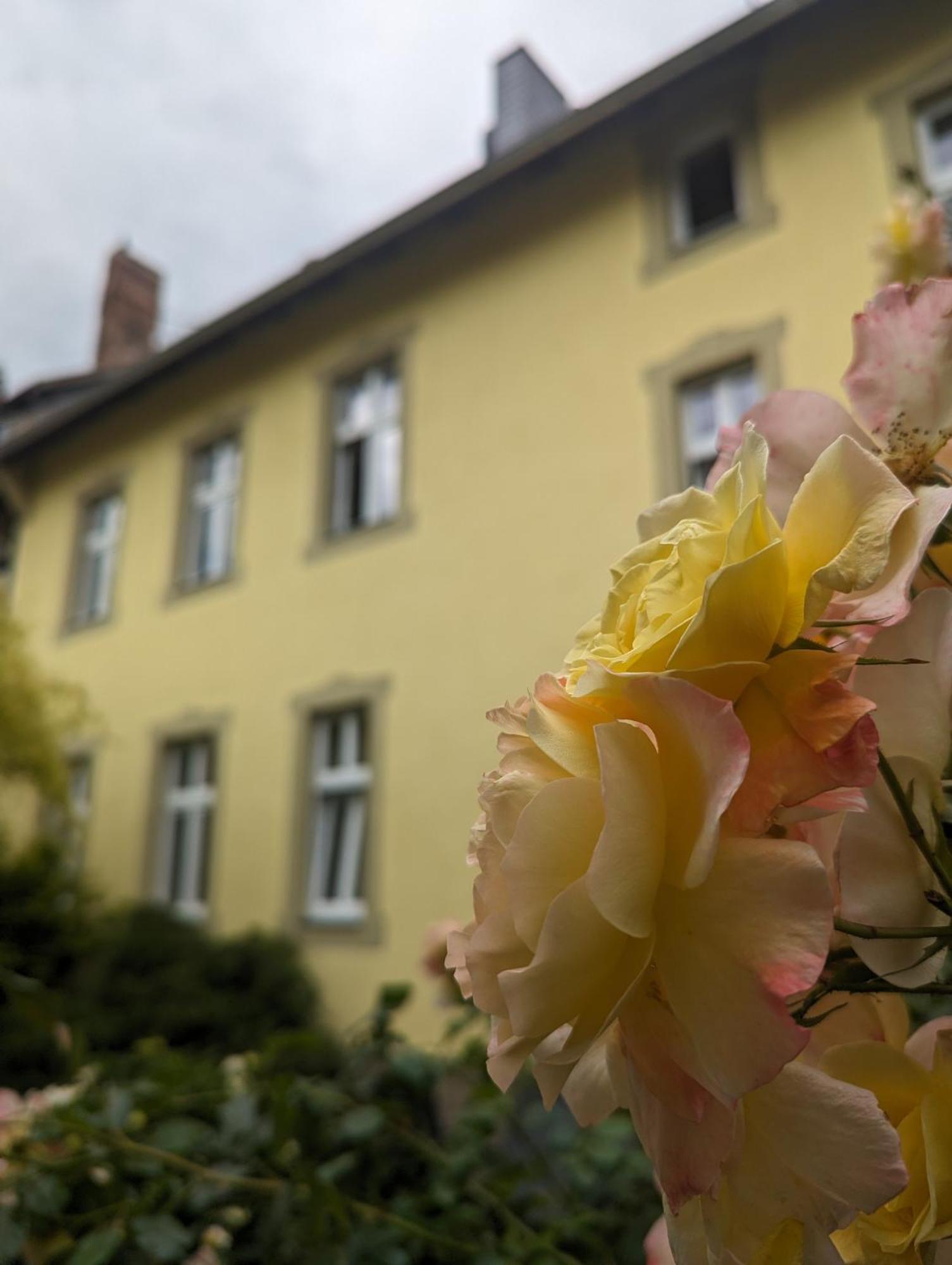 Atelier Wolkenschloss Wernigerode Bagian luar foto